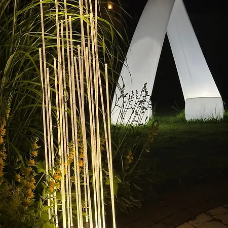 Zellersee 4* ツェル アム ゼー