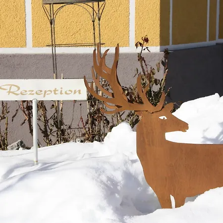 Zellersee زيل أم سي