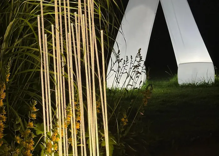 Zellersee 4* ツェル アム ゼー